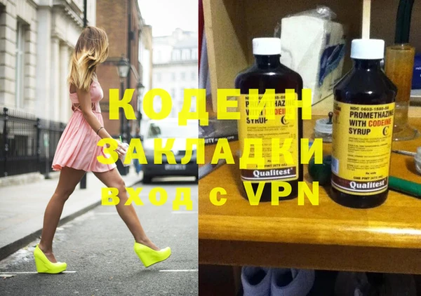 хмурый Белокуриха