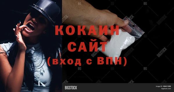 хмурый Белокуриха