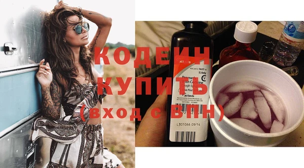 хмурый Белокуриха