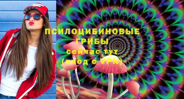 прущие крисы Богородицк